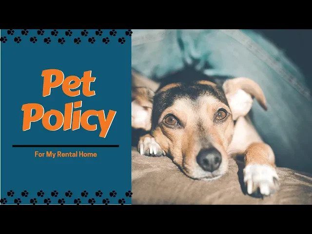 Setting a Pet Policy for my Coral Springs Rental Home: Property Management Education