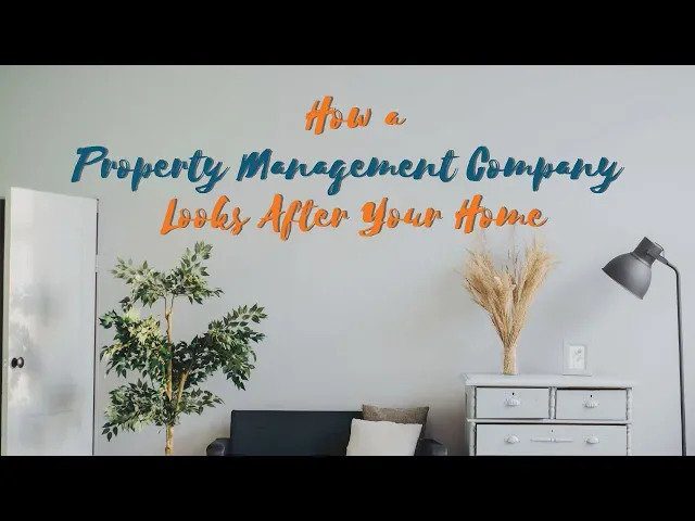How a Coral Springs Property Management Company Looks After Your Home